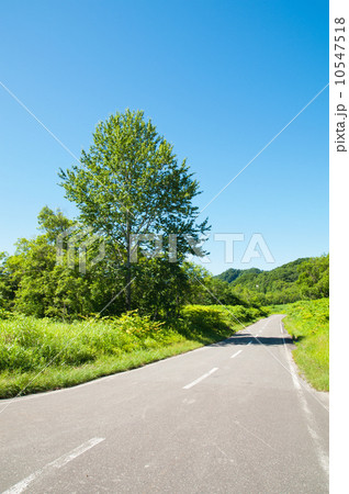 廃鉱の道 10547518