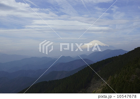 丹沢表尾根 烏尾山へ向かう登山道からの眺め 丹沢表尾根 烏尾山へ向かう登山道からの眺め 10547678