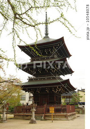 飛騨国分寺 三重塔 飛騨国分寺 三重塔 10548078