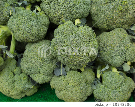 青果店に並んだブロッコリー 10548286