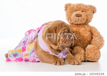 best friends best friends 10549194