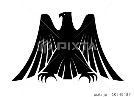 Imperial eagle with long trailing wing feathers 10549487