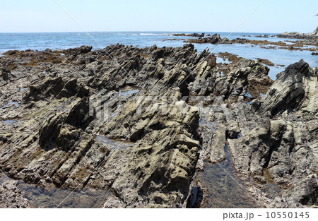 荒崎の奇勝 荒崎の奇勝 10550145