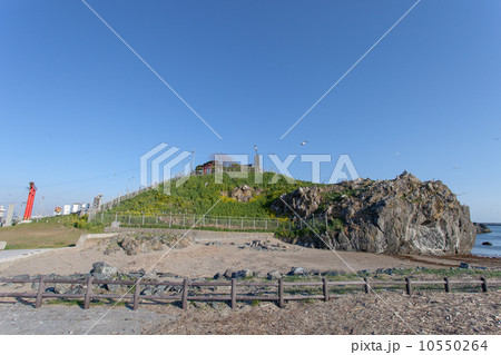 国指定天然記念物　蕪島 10550264