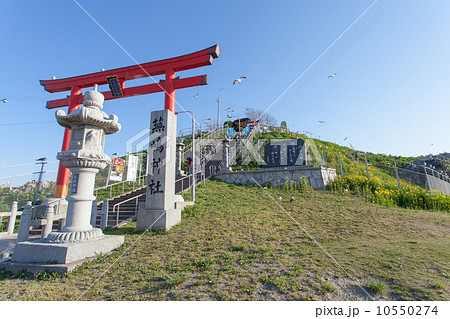 国指定天然記念物　蕪島 10550274