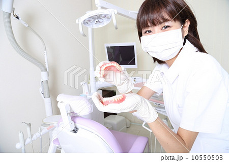 入れ歯を持つ歯科医 10550503
