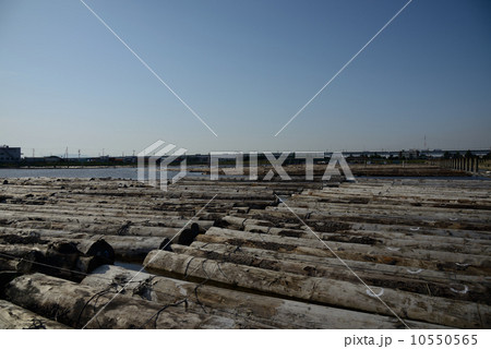 貯木場 10550565