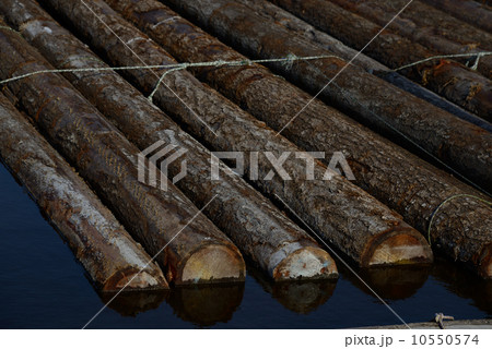 貯木場 貯木場 10550574