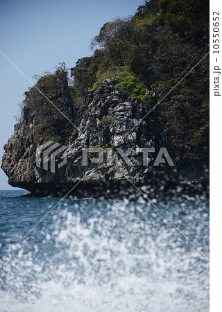 マヤベイ マヤベイ 10550652