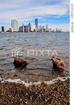 Miami Miami 10551224