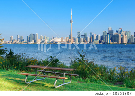 Toronto skyline from park 10551307