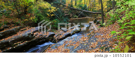 Autumn creek panorama 10552101