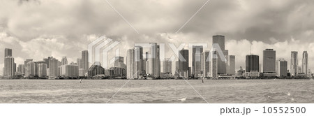 Miami black and white 10552500