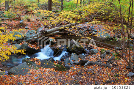 creek 10553825