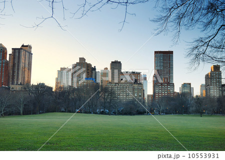 Central Park, New York City 10553931