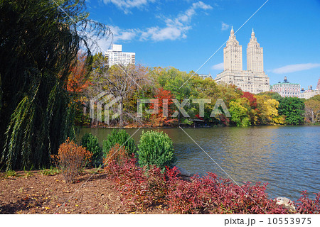 New York City Manhattan Central Park New York City Manhattan Central Park 10553975