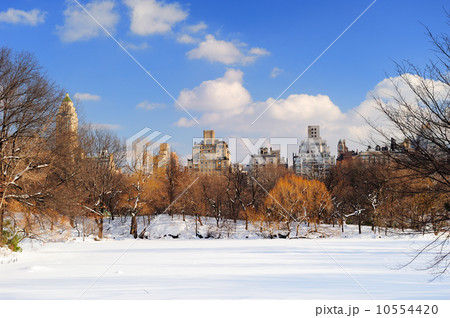 New York City Manhattan Central Park panorama New York City Manhattan Central Park panorama 10554420