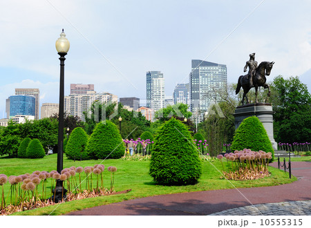 Urban city garden 10555315