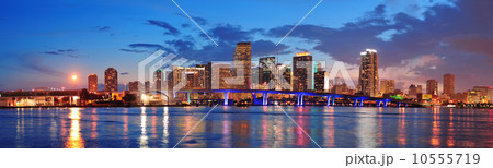 Miami night scene 10555719