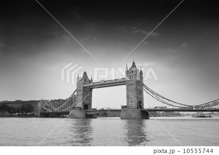 Tower Bridge in black and white 10555744