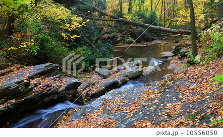 Autumn creek on rocks 10556050