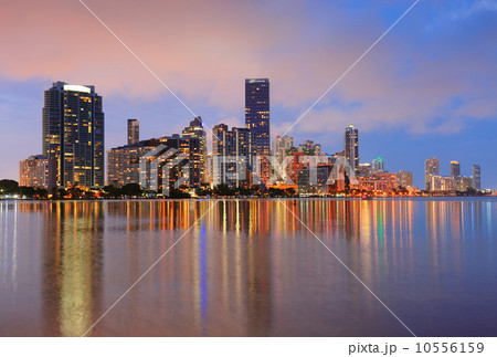 Miami night scene 10556159