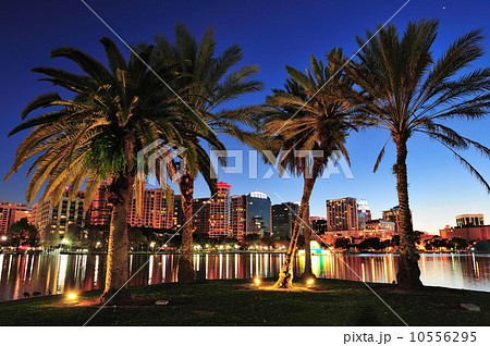 Orlando at night 10556295