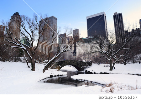 New York City Manhattan Central Park panorama at dusk New York City Manhattan Central Park panorama at dusk 10556357