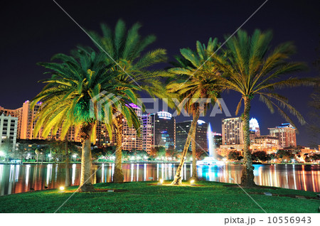 Orlando night scene 10556943