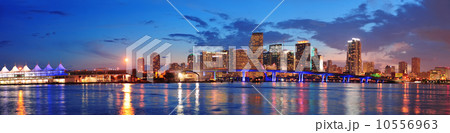 Miami night scene 10556963