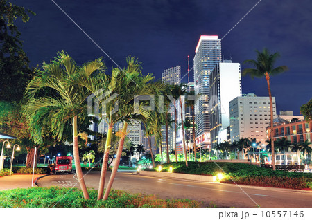 Miami downtown Miami downtown 10557146