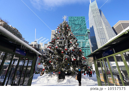 雪景色のブライアントパーク　クリスマスツリー 10557575