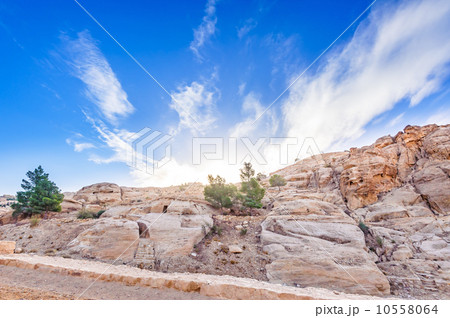 ペトラ遺跡の早朝(ヨルダン、ペトラ) ペトラ遺跡の早朝(ヨルダン、ペトラ) 10558064