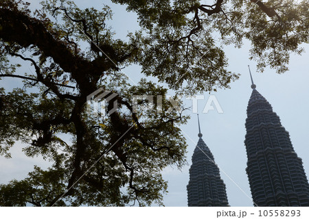 ペトロナスタワーズ　 10558293
