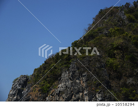 ピピ島 ピピ島 10558294