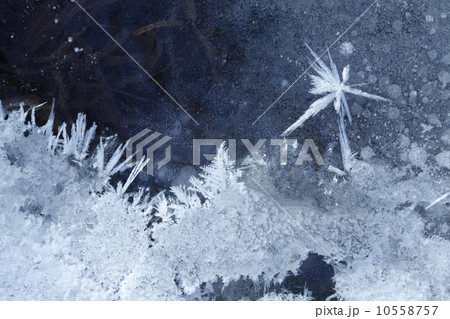 Hoarfrost star on ice background Hoarfrost star on ice background 10558757