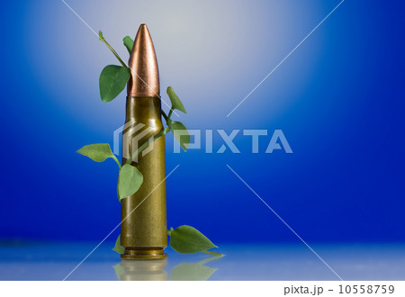 Cartridge and young green plant as peace concept Cartridge and young green plant as peace concept 10558759