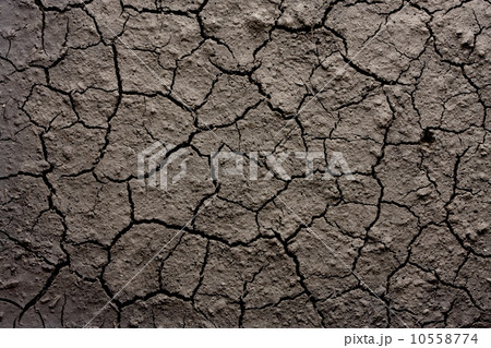 infertile wasteland infertile wasteland 10558774