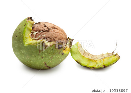 Green walnut peeled away 10558897
