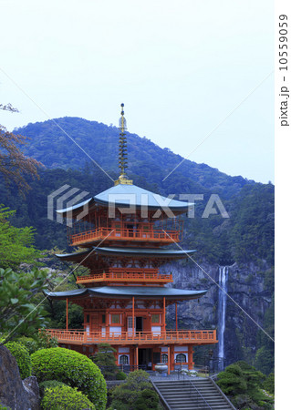 青岸渡寺と那智の滝 青岸渡寺と那智の滝 10559059