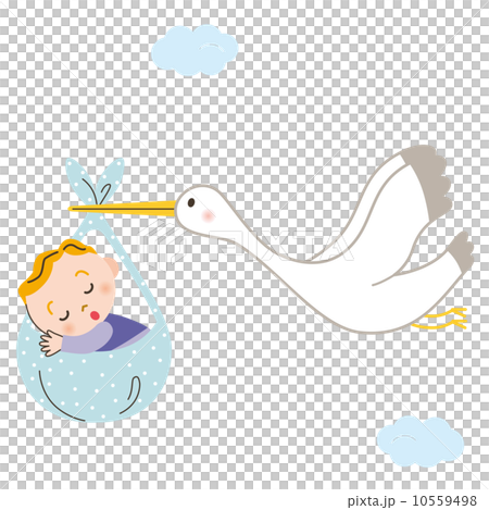 コウノトリ　赤ちゃん 10559498