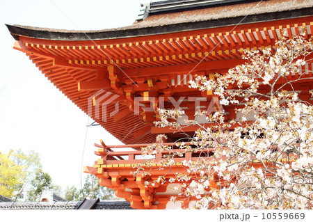 上賀茂神社 10559669