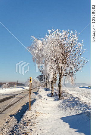 Winter road on a sunny frosty day Winter road on a sunny frosty day 10559682