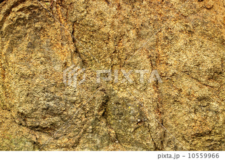 sandstone texture for background use 10559966