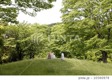 百地の丘 10560979