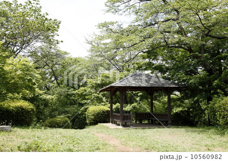 公園のあずまや 10560982