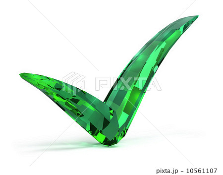 emerald checked 10561107