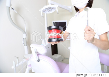 矯正歯科 10561136