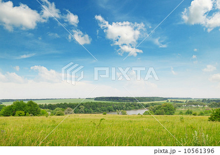 green  field and blue cloudy sky 10561396