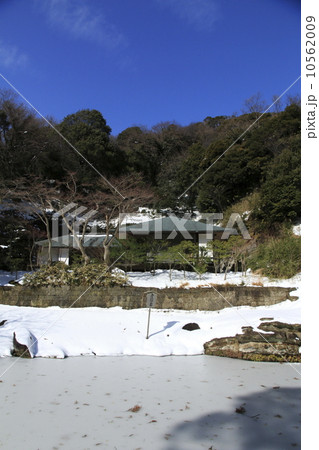 雪のち快晴の円覚寺 10562009